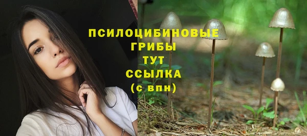 Альфа ПВП Покачи