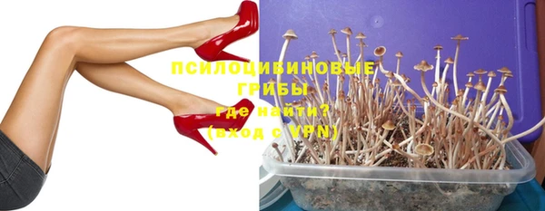 Альфа ПВП Покачи