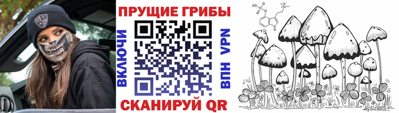Псилоцибиновые грибы MAGIC MUSHROOMS  Купить закладки  Тотьма 
